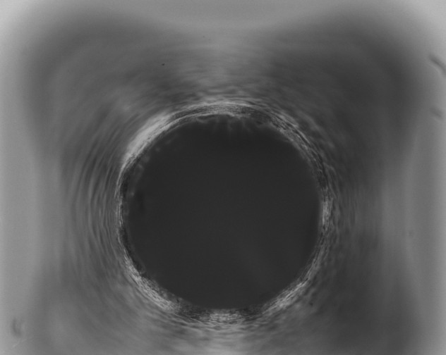 X0000100220101200806201517