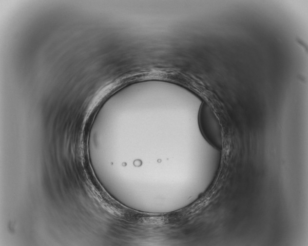 X0000100220102200806201517