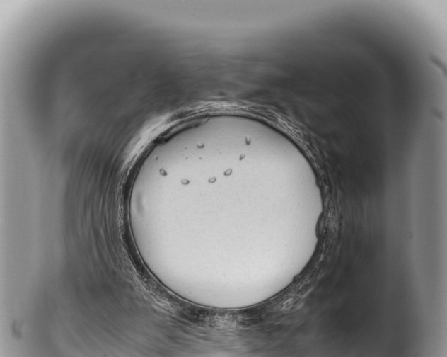 X0000100220103200806201517