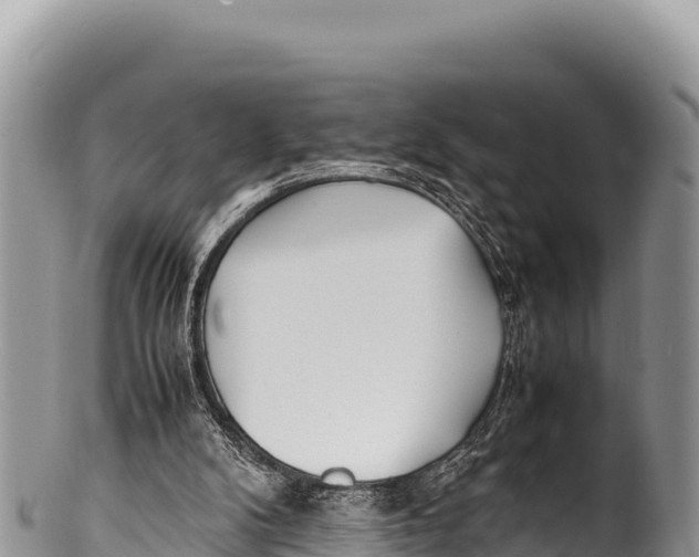 X0000100220104200806201517