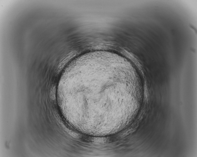 X0000100220105200806201517