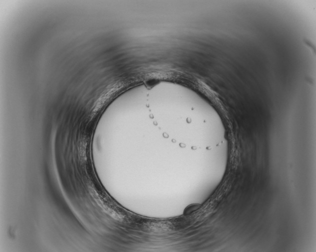 X0000100220106200806201517