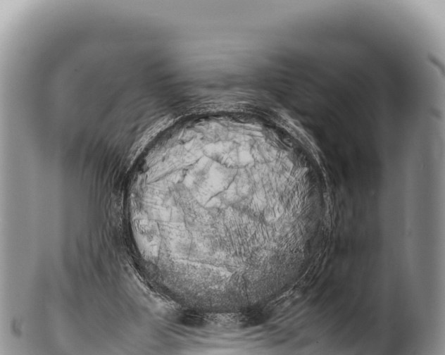 X0000100220107200806201517