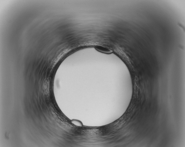 X0000100220108200806201517