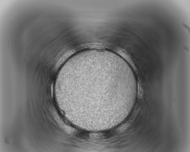 X0000100220109200806201517