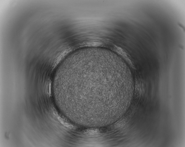 X0000100220110200806201517