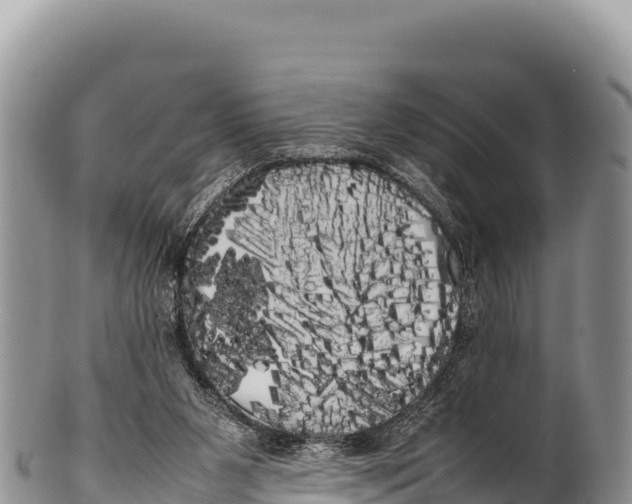 X0000100220111200806201517