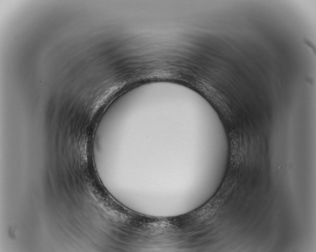 X0000100220112200806201517