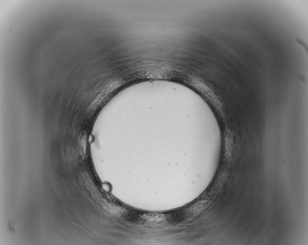 X0000100220113200806201517