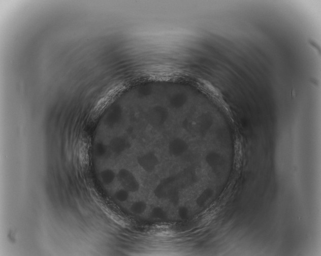 X0000100220114200806201517