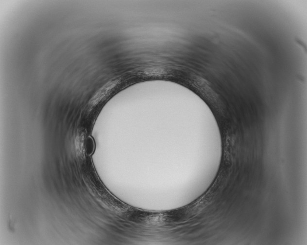 X0000100220116200806201517