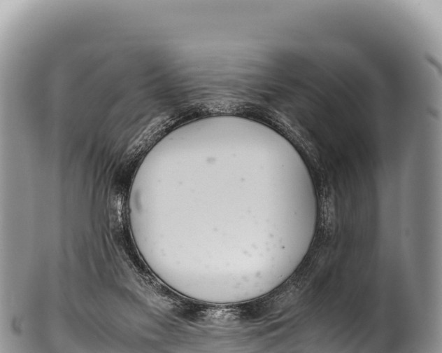 X0000100220117200806201517