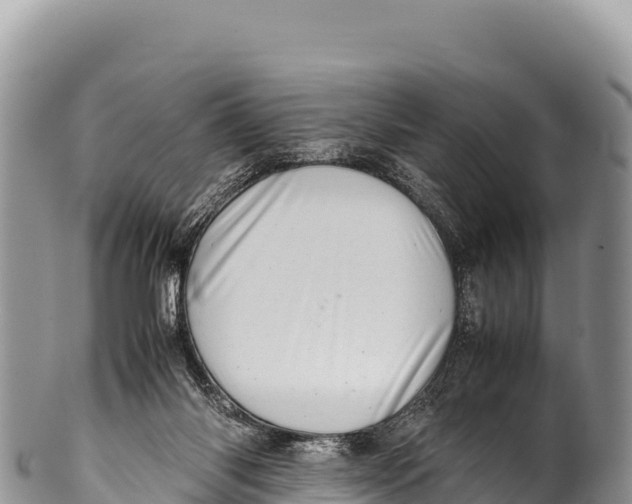 X0000100220118200806201517