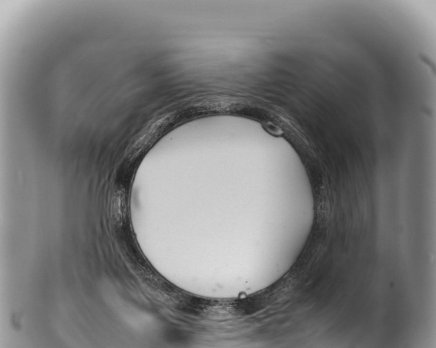 X0000100220119200806201517