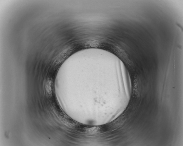 X0000100220122200806201517