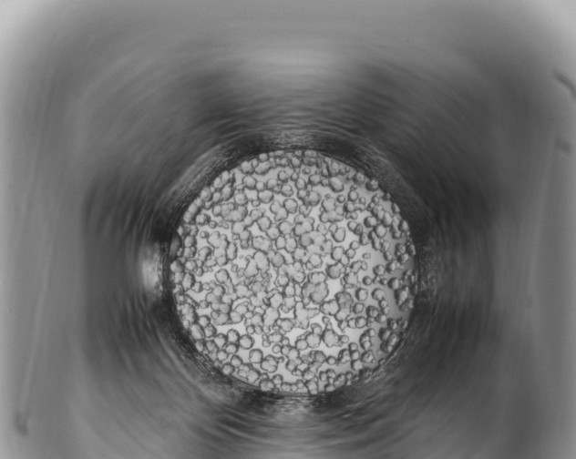 X0000100220124200806201517