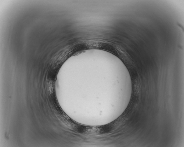 X0000100220125200806201517