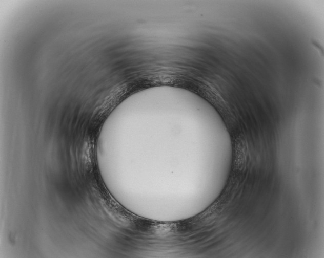 X0000100220126200806201517