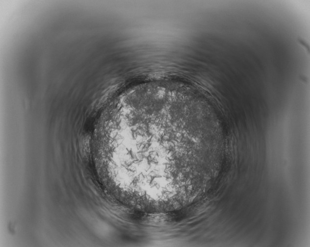 X0000100220127200806201517