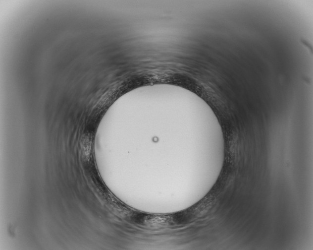 X0000100220129200806201517