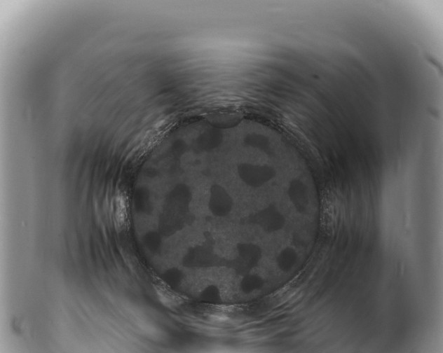 X0000100220130200806201517