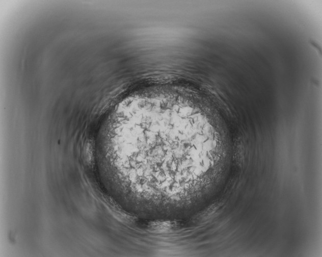 X0000100220131200806201517