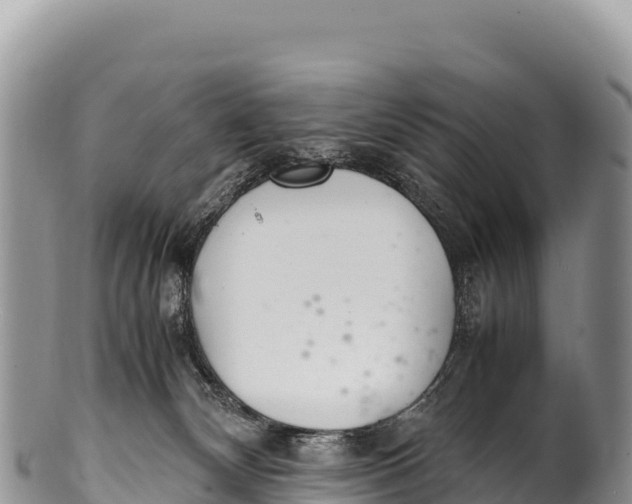 X0000100220132200806201517