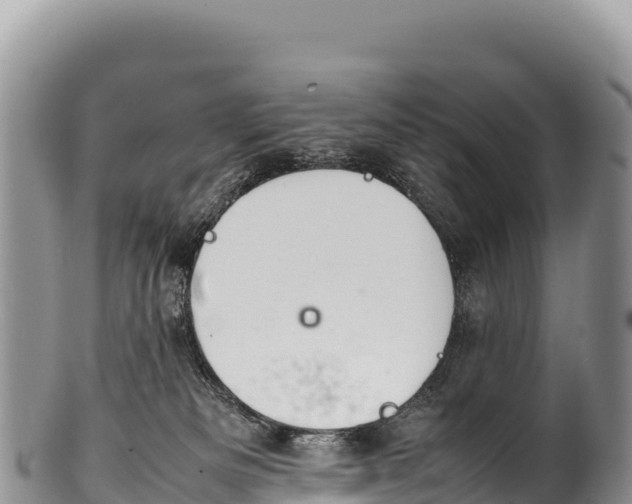 X0000100220133200806201517