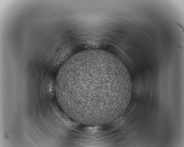 X0000100220134200806201517