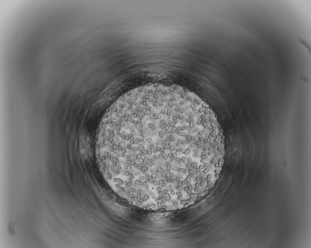 X0000100220136200806201517