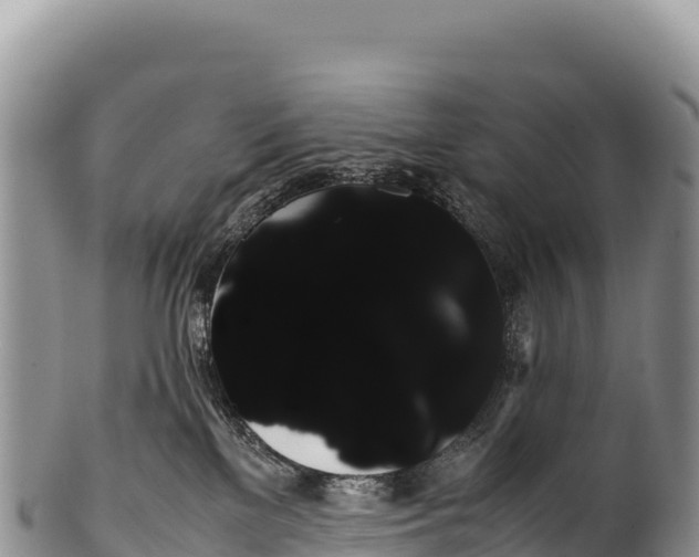 X0000100220137200806201517