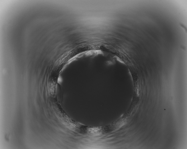 X0000100220139200806201517