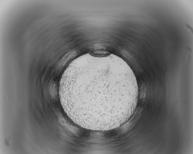 X0000100220140200806201517