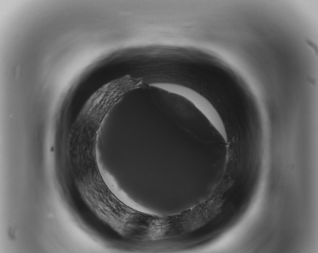 X0000100220143200806201517