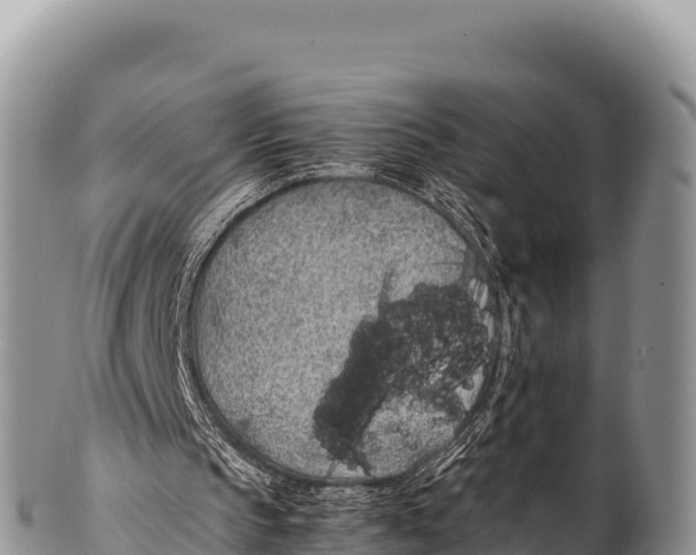 X0000100220145200806201516