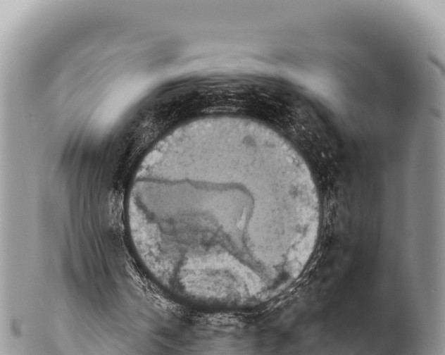 X0000100220146200806201516