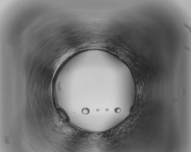 X0000100220148200806201516