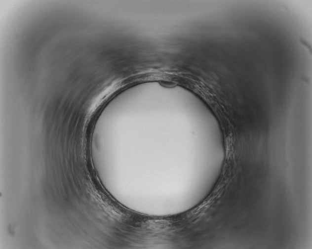 X0000100220150200806201516