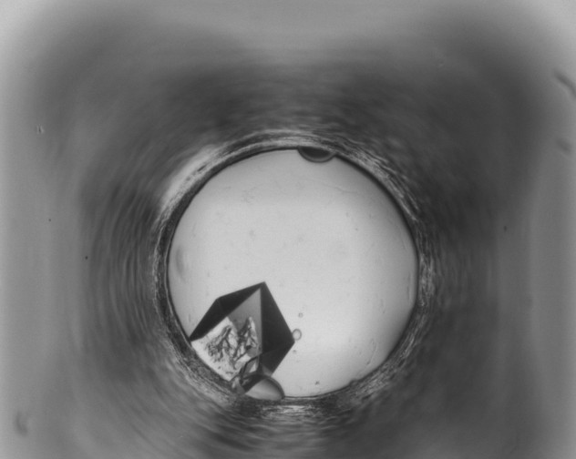 X0000100220151200806201516