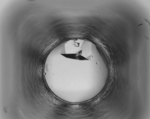 X0000100220153200806201516