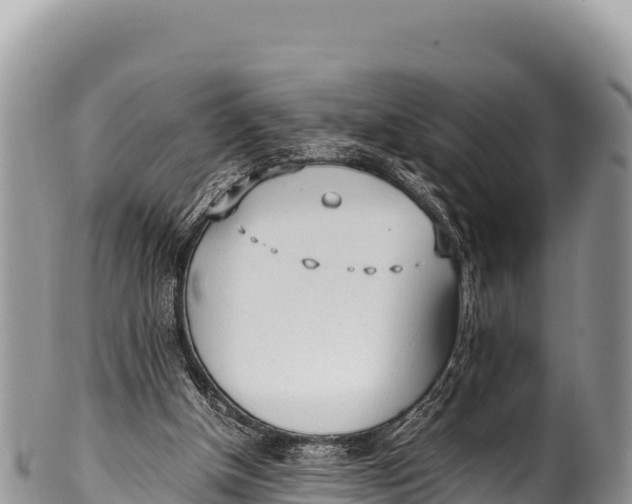 X0000100220154200806201516