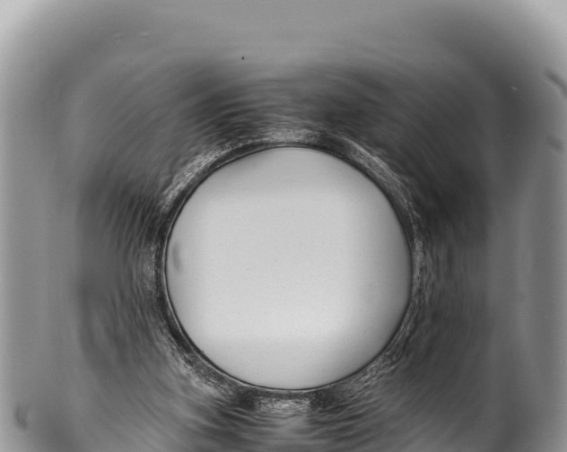 X0000100220155200806201516