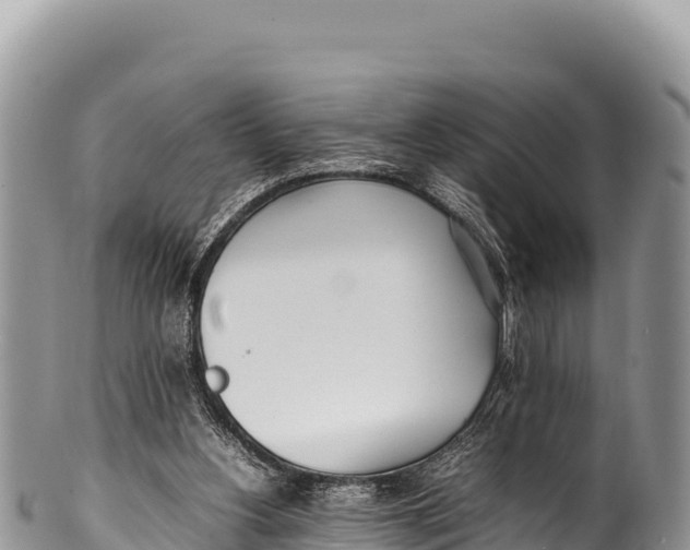 X0000100220156200806201516