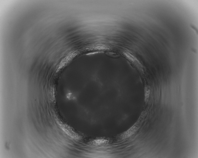 X0000100220158200806201516