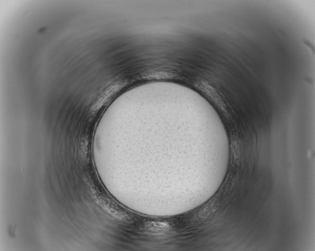 X0000100220159200806201516