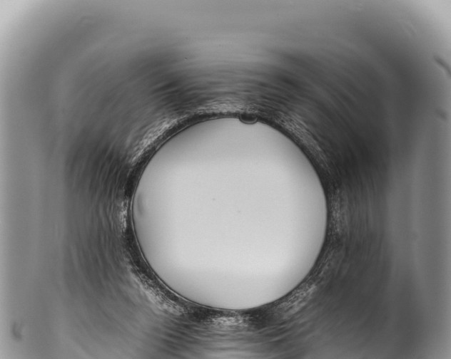 X0000100220160200806201516