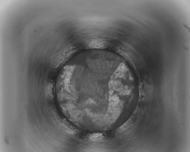 X0000100220162200806201516