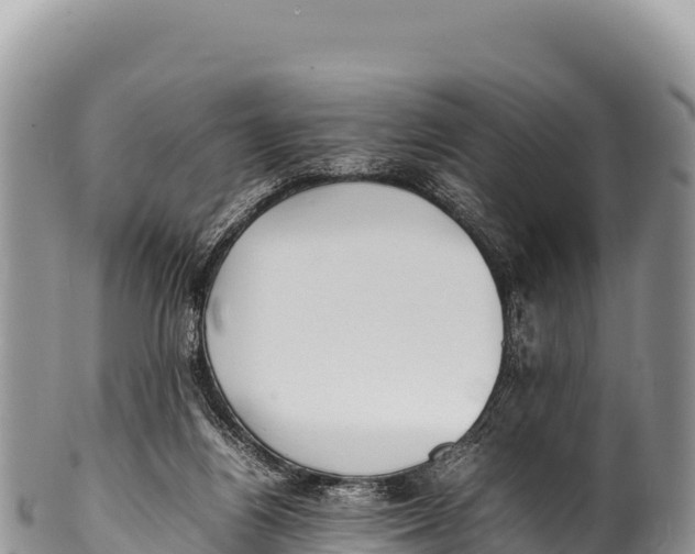 X0000100220164200806201516