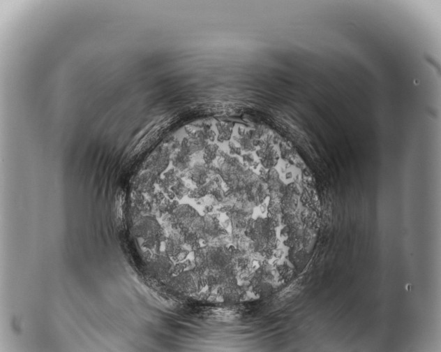 X0000100220166200806201516