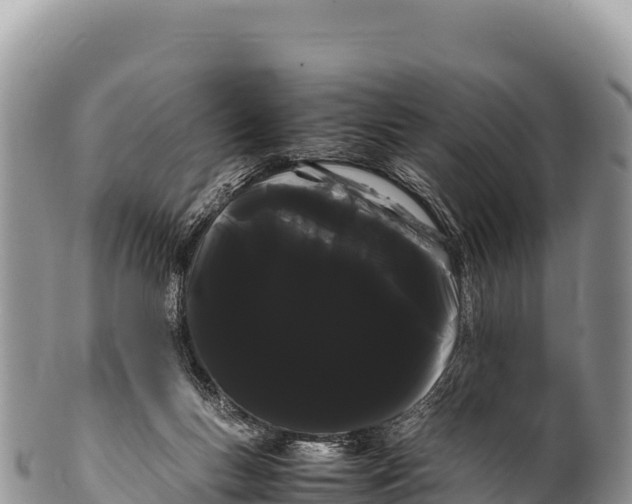 X0000100220167200806201516